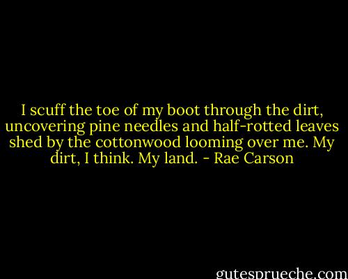 I scuff the toe of my boot through the dirt, uncovering pine needles and half-rotted leaves shed by the cottonwood looming over me. My dirt, I think. My land. - Rae Carson
