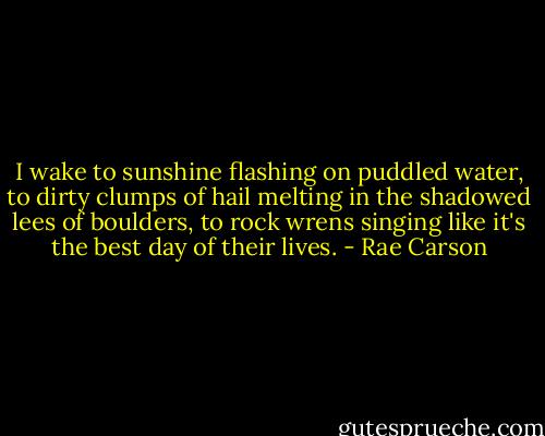 I wake to sunshine flashing on puddled water, to dirty clumps of hail melting in the shadowed lees of boulders, to rock wrens singing like it's the best day of their lives. - Rae Carson
