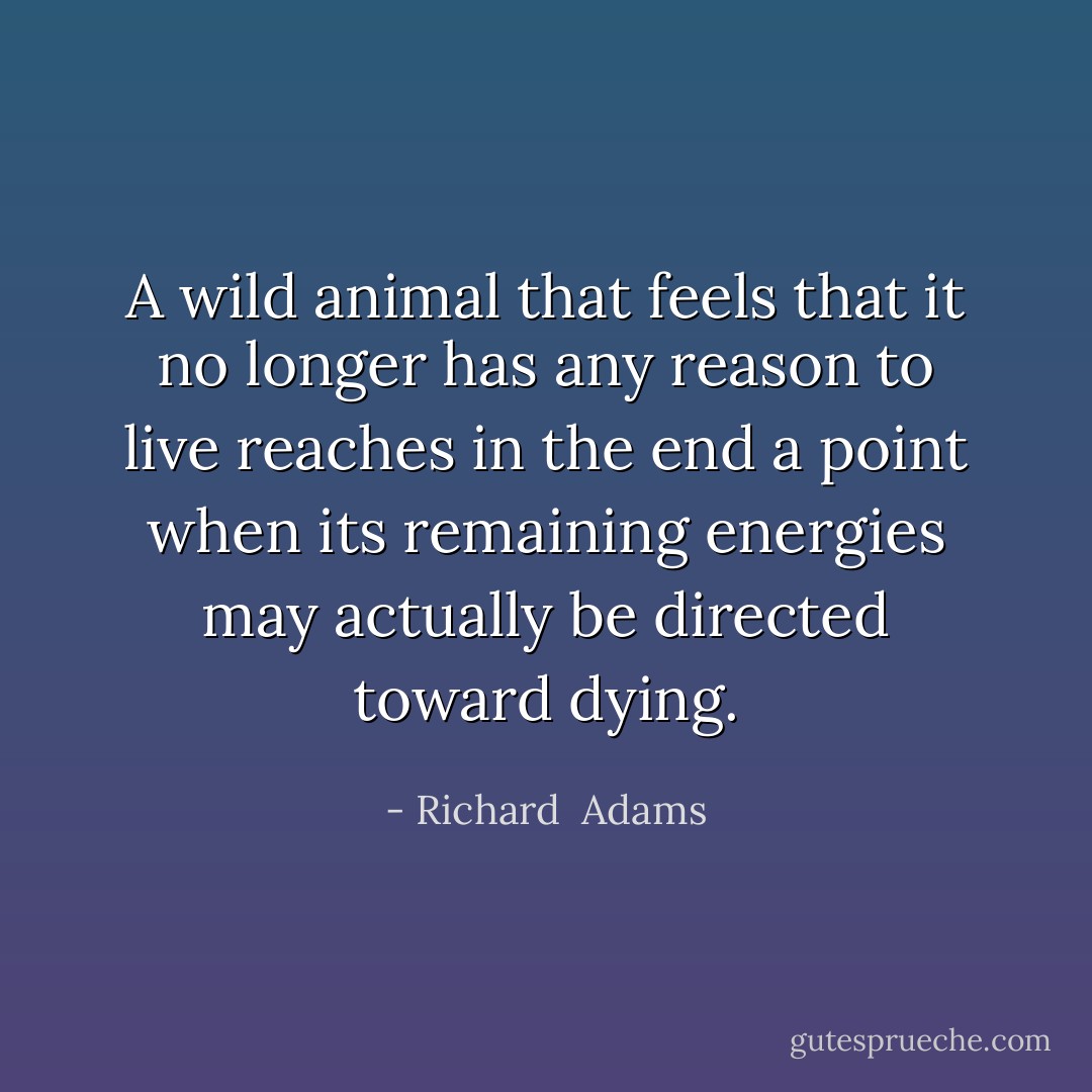 A wild animal that feels that it no longer has any reason to live reaches in the end a point when its remaining energies may actually be directed toward dying. - Richard  Adams