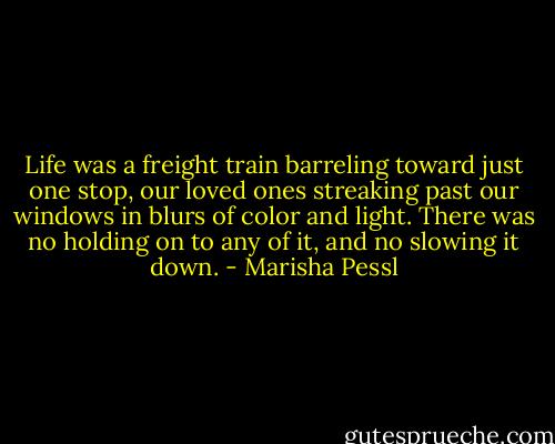 Life was a freight train barreling toward just one stop, our loved ones streaking past our windows in blurs of color and light. There was no holding on to any of it, and no slowing it down. - Marisha Pessl