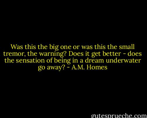 Was this the big one or was this the small tremor, the warning? Does it get better - does the sensation of being in a dream underwater go away? - A.M. Homes