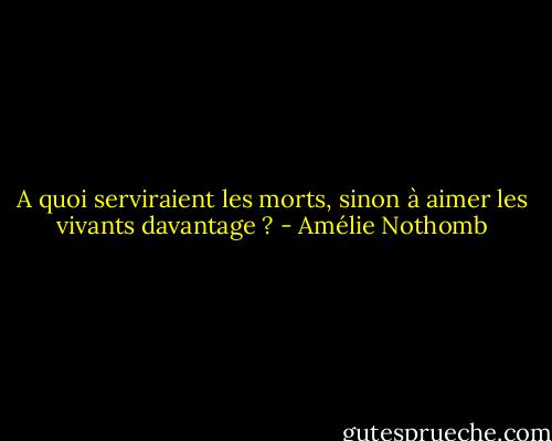 A quoi serviraient les morts, sinon à aimer les vivants davantage ? - Amélie Nothomb