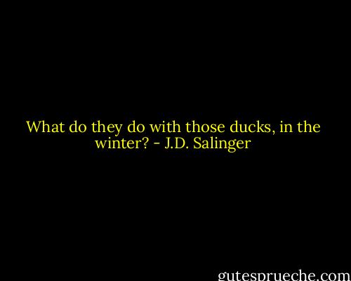 What do they do with those ducks, in the winter? - J.D. Salinger