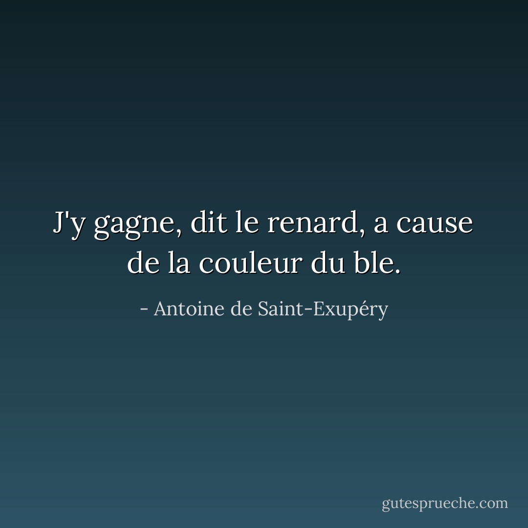 J'y gagne, dit le renard, a cause de la couleur du ble. - Antoine de Saint-Exupéry
