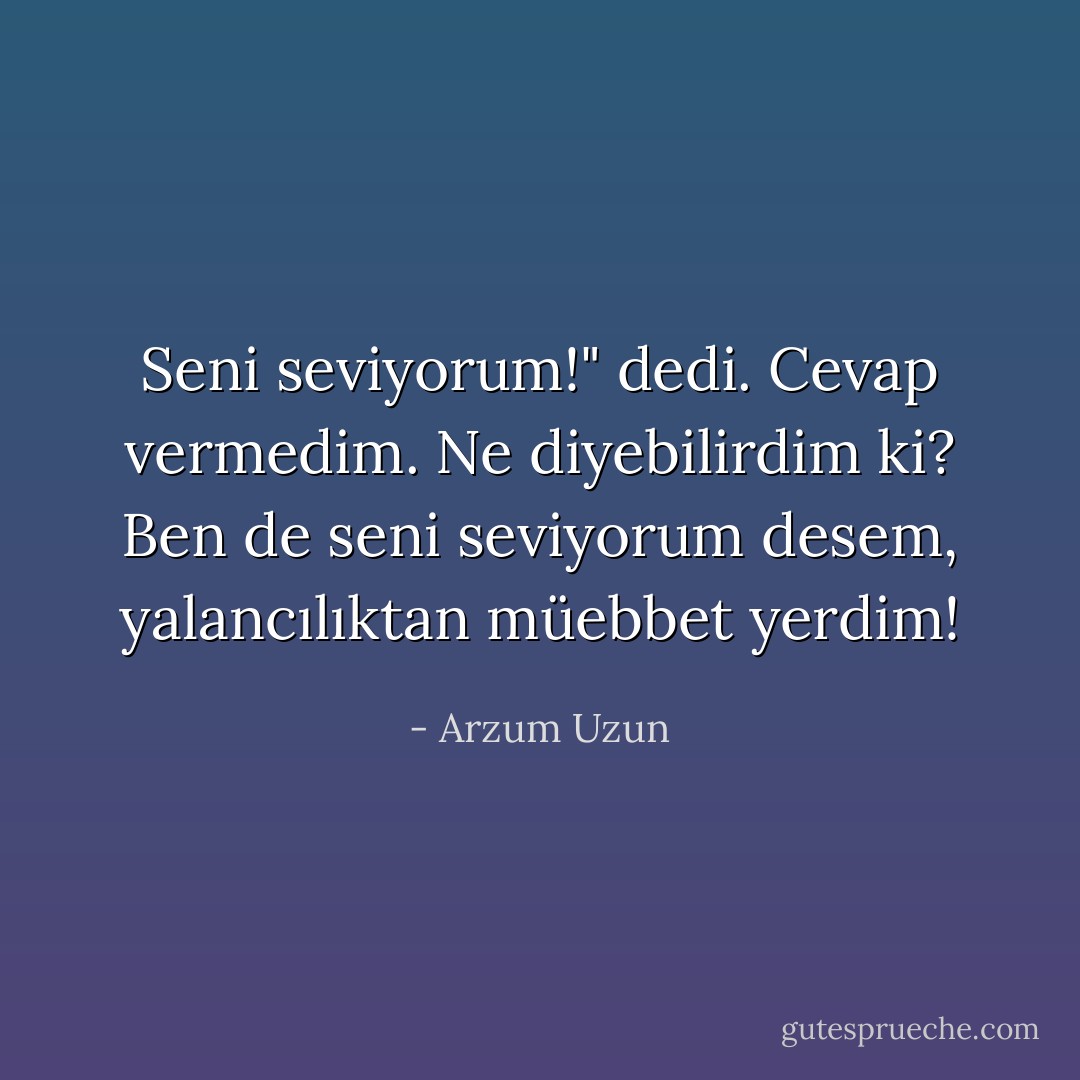 Seni seviyorum!" dedi. Cevap vermedim. Ne diyebilirdim ki? Ben de seni seviyorum desem, yalancılıktan müebbet yerdim! - Arzum Uzun