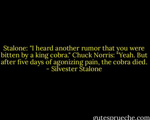 Stalone: "I heard another rumor that you were bitten by a king cobra."<br />Chuck Norris: "Yeah. But after five days of agonizing pain, the cobra died. - Silvester Stalone