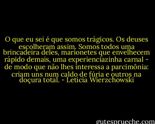 O que eu sei é que somos trágicos. Os deuses escolheram assim. Somos todos uma brincadeira deles, marionetes que envelhecem rápido demais, uma experienciazinha carnal - de modo que não lhes interessa a parcimônia: criam uns num caldo de fúria e outros na doçura total. - Leticia Wierzchowski