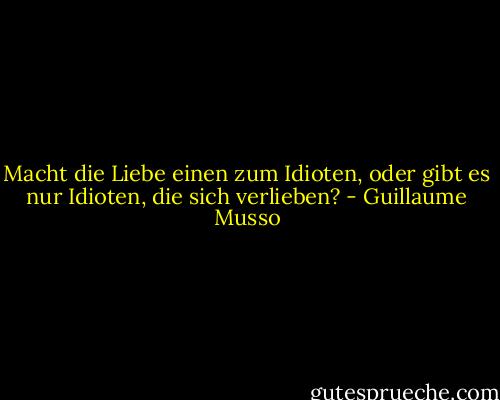 Macht die Liebe einen zum Idioten, oder gibt es nur Idioten, die sich verlieben? - Guillaume Musso