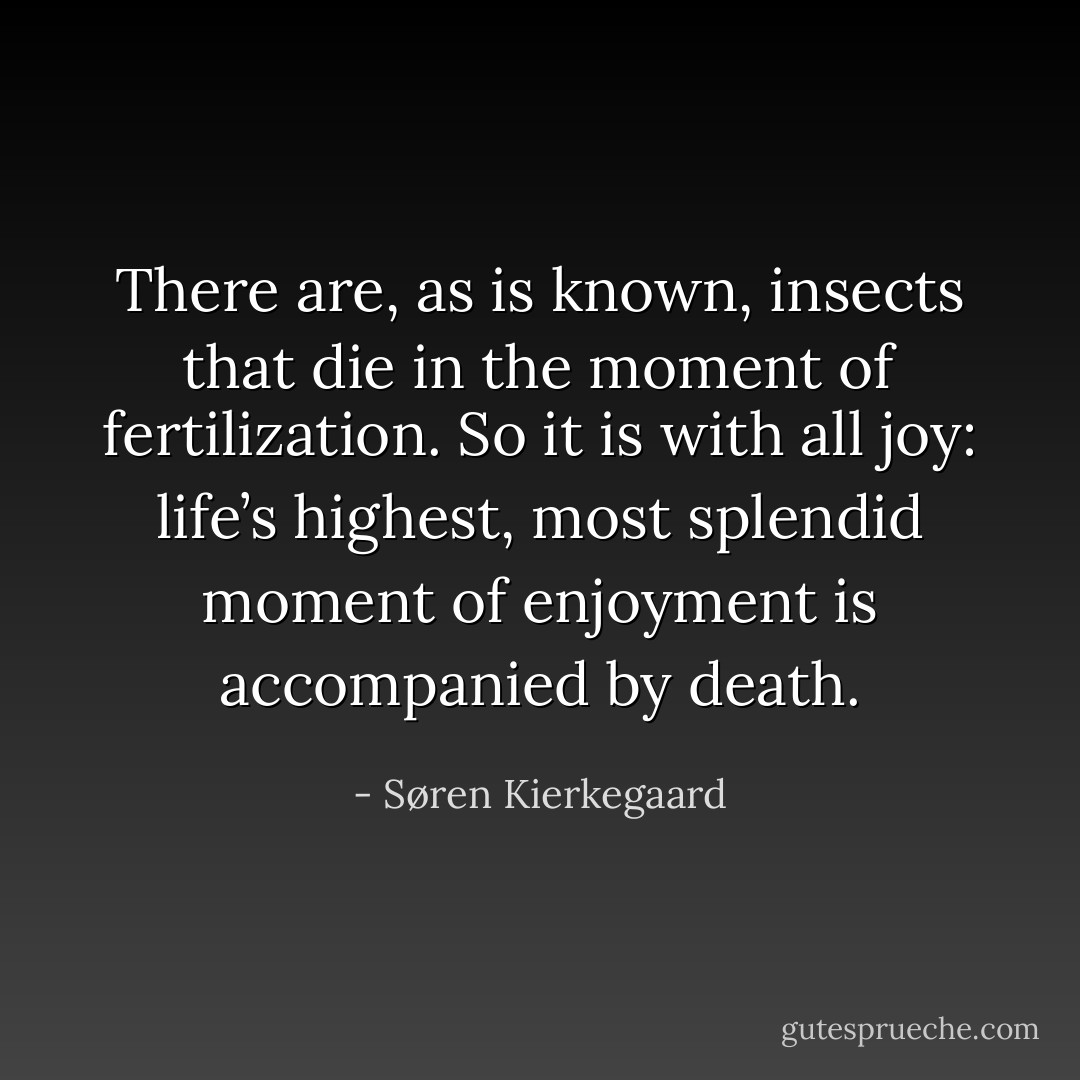 There are, as is known, insects that die in the moment of fertilization. So it is with all joy: life’s highest, most splendid moment of enjoyment is accompanied by death. - Søren Kierkegaard