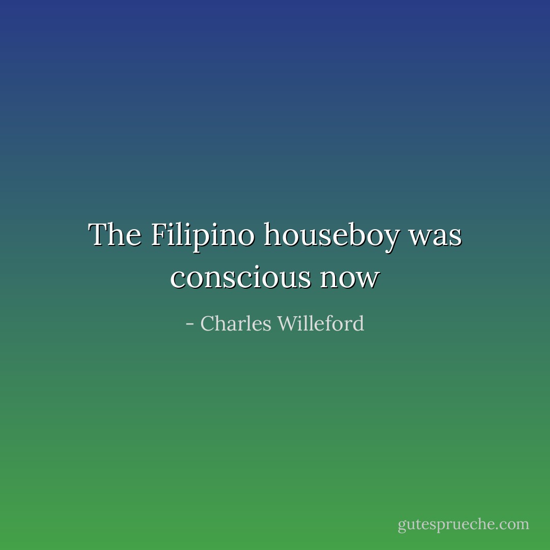 The Filipino houseboy was conscious now - Charles Willeford