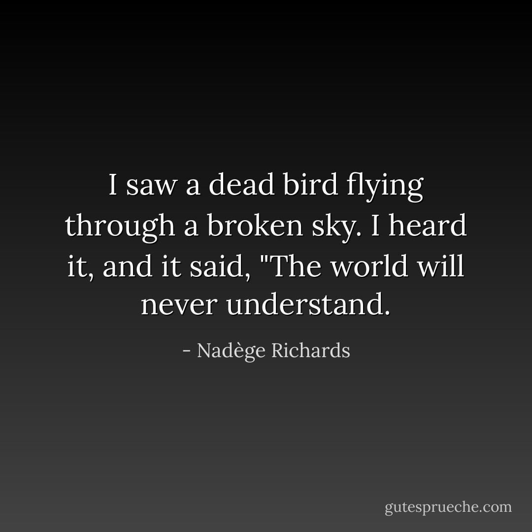 I saw a dead bird flying through a broken sky. I heard it, and it said, "The world will never understand. - Nadège Richards