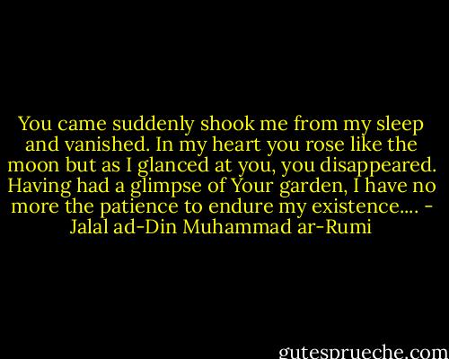You came suddenly shook me from my sleep and vanished.<br />In my heart you rose like the moon<br />but as I glanced at you, you disappeared.<br />Having had a glimpse of Your garden,<br />I have no more the patience to endure my existence.... - Jalal ad-Din Muhammad ar-Rumi