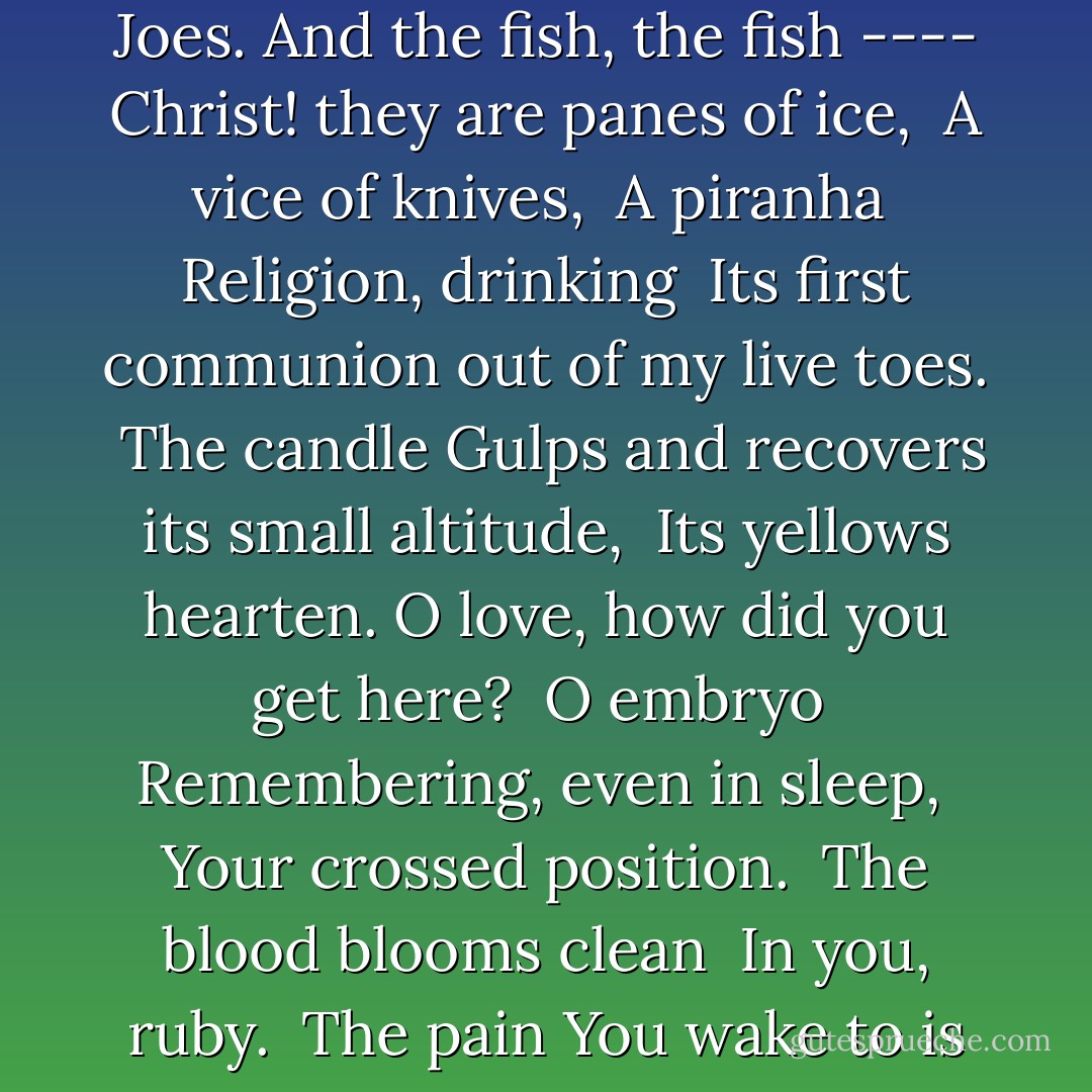Nick and the Candlestick<br /><br />I am a miner. The light burns blue. <br />Waxy stalactites<br />Drip and thicken, tears<br /><br />The earthen womb<br />Exudes from its dead boredom. <br />Black bat airs<br /><br />Wrap me, raggy shawls, <br />Cold homicides.<br />They weld to me like plums.<br /><br />Old cave of calcium <br />Icicles, old echoer.<br />Even the newts are white,<br /><br />Those holy Joes.<br />And the fish, the fish ----<br />Christ! they are panes of ice,<br /><br />A vice of knives, <br />A piranha <br />Religion, drinking<br /><br />Its first communion out of my live toes. <br />The candle<br />Gulps and recovers its small altitude,<br /><br />Its yellows hearten.<br />O love, how did you get here? <br />O embryo<br /><br />Remembering, even in sleep, <br />Your crossed position. <br />The blood blooms clean<br /><br />In you, ruby. <br />The pain<br />You wake to is not yours.<br /><br />Love, love,<br />I have hung our cave with roses, <br />With soft rugs ----<br /><br />The last of Victoriana. <br />Let the stars<br />Plummet to their dark address,<br /><br />Let the mercuric <br />Atoms that cripple drip <br />Into the terrible well,<br /><br />You are the one<br />Solid the spaces lean on, envious. <br />You are the baby in the barn. - Sylvia Plath