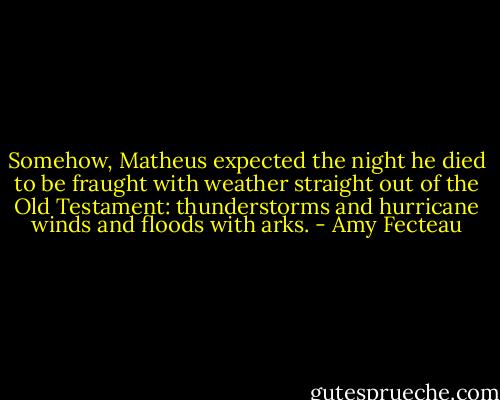 Somehow, Matheus expected the night he died to be fraught with weather straight out of the Old Testament: thunderstorms and hurricane winds and floods with arks. - Amy Fecteau