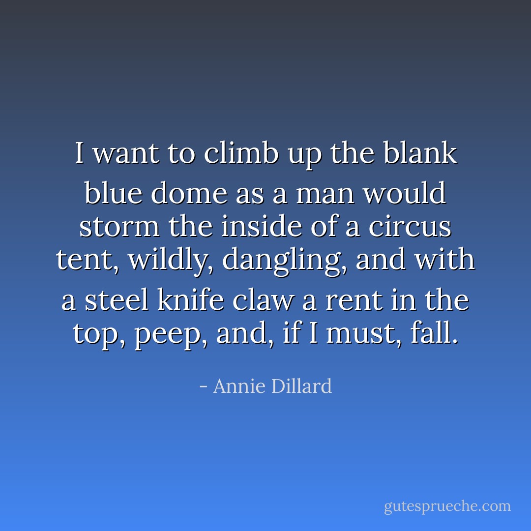 I want to climb up the blank blue dome as a man would storm the inside of a circus tent, wildly, dangling, and with a steel knife claw a rent in the top, peep, and, if I must, fall. - Annie Dillard