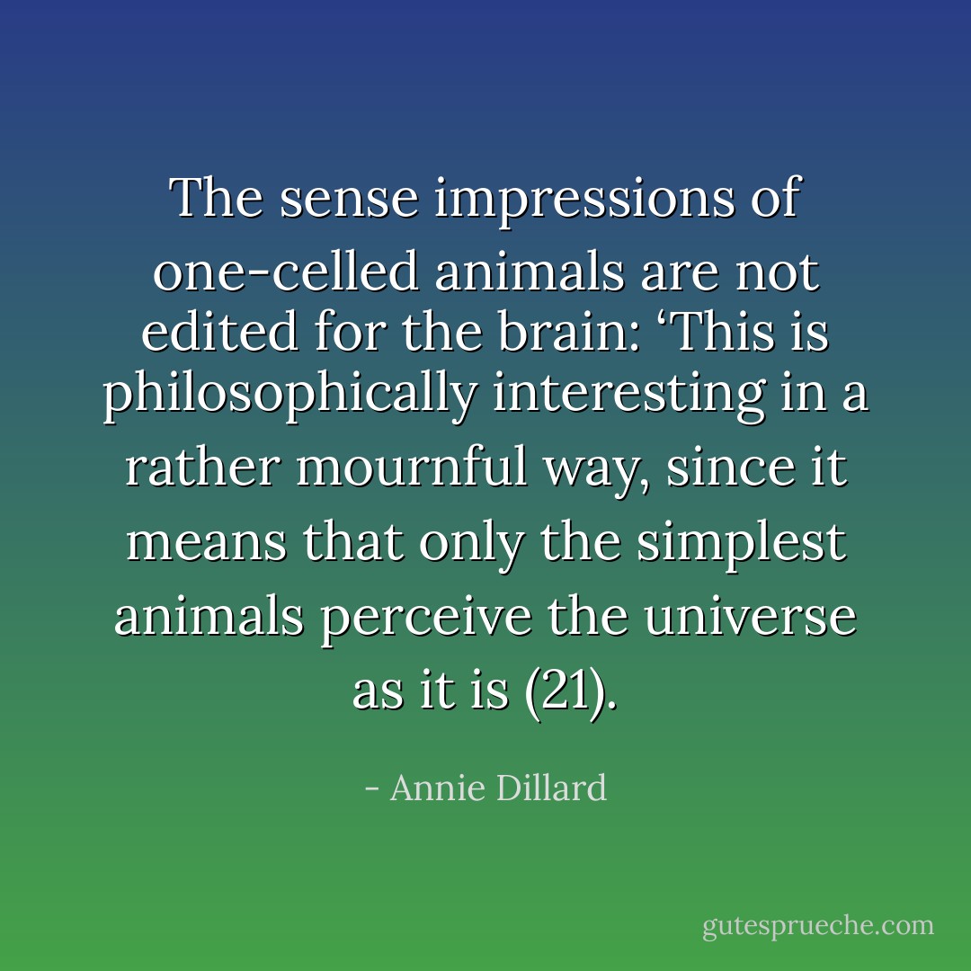 The sense impressions of one-celled animals are not edited for the brain: ‘This is philosophically interesting in a rather mournful way, since it means that only the simplest animals perceive the universe as it is (21). - Annie Dillard