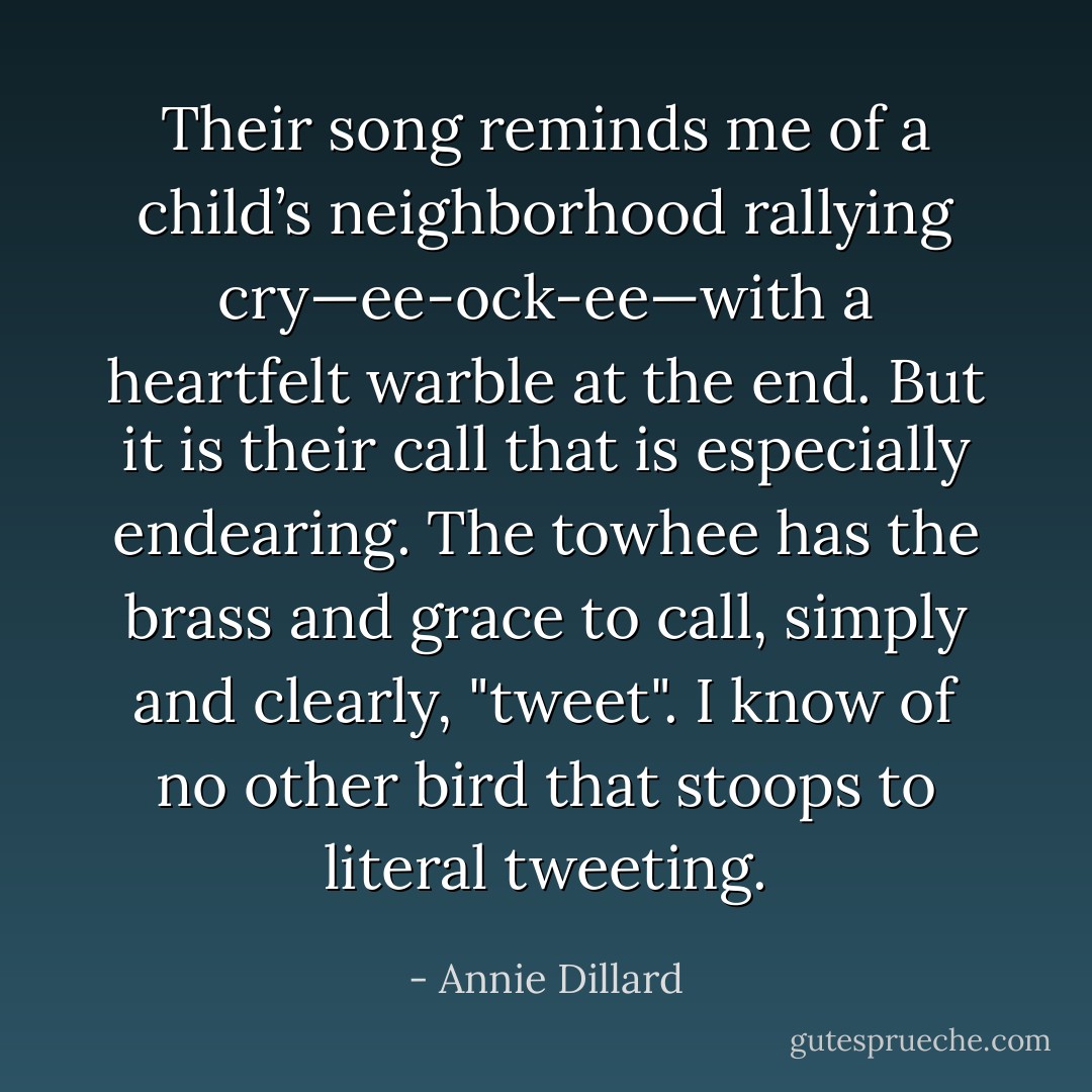 Their song reminds me of a child’s neighborhood rallying cry—ee-ock-ee—with a heartfelt warble at the end. But it is their call that is especially endearing. The towhee has the brass and grace to call, simply and clearly, "tweet". I know of no other bird that stoops to literal tweeting. - Annie Dillard