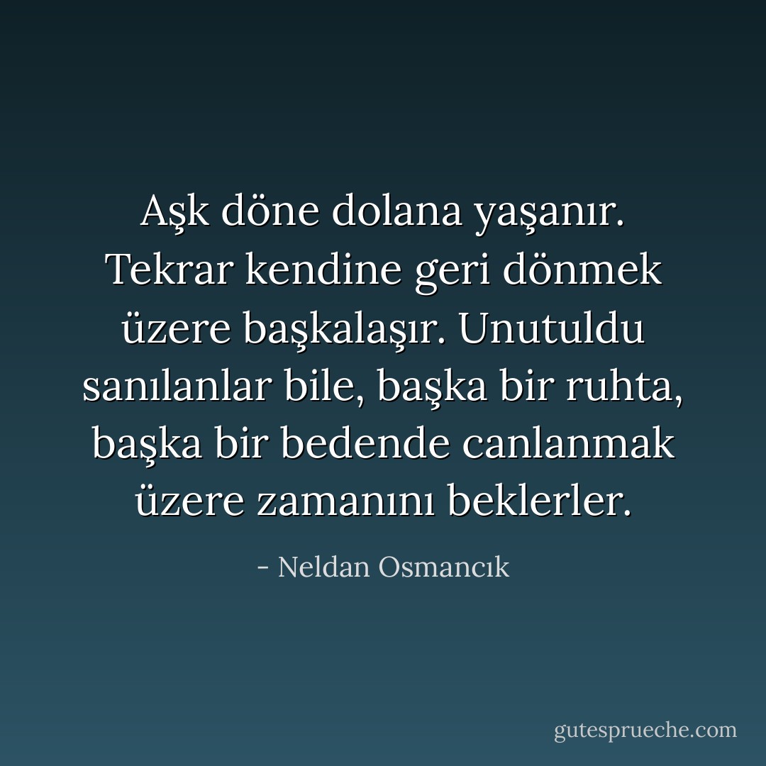 Aşk döne dolana yaşanır. Tekrar kendine geri dönmek üzere başkalaşır. Unutuldu sanılanlar bile, başka bir ruhta, başka bir bedende canlanmak üzere zamanını beklerler. - Neldan Osmancık