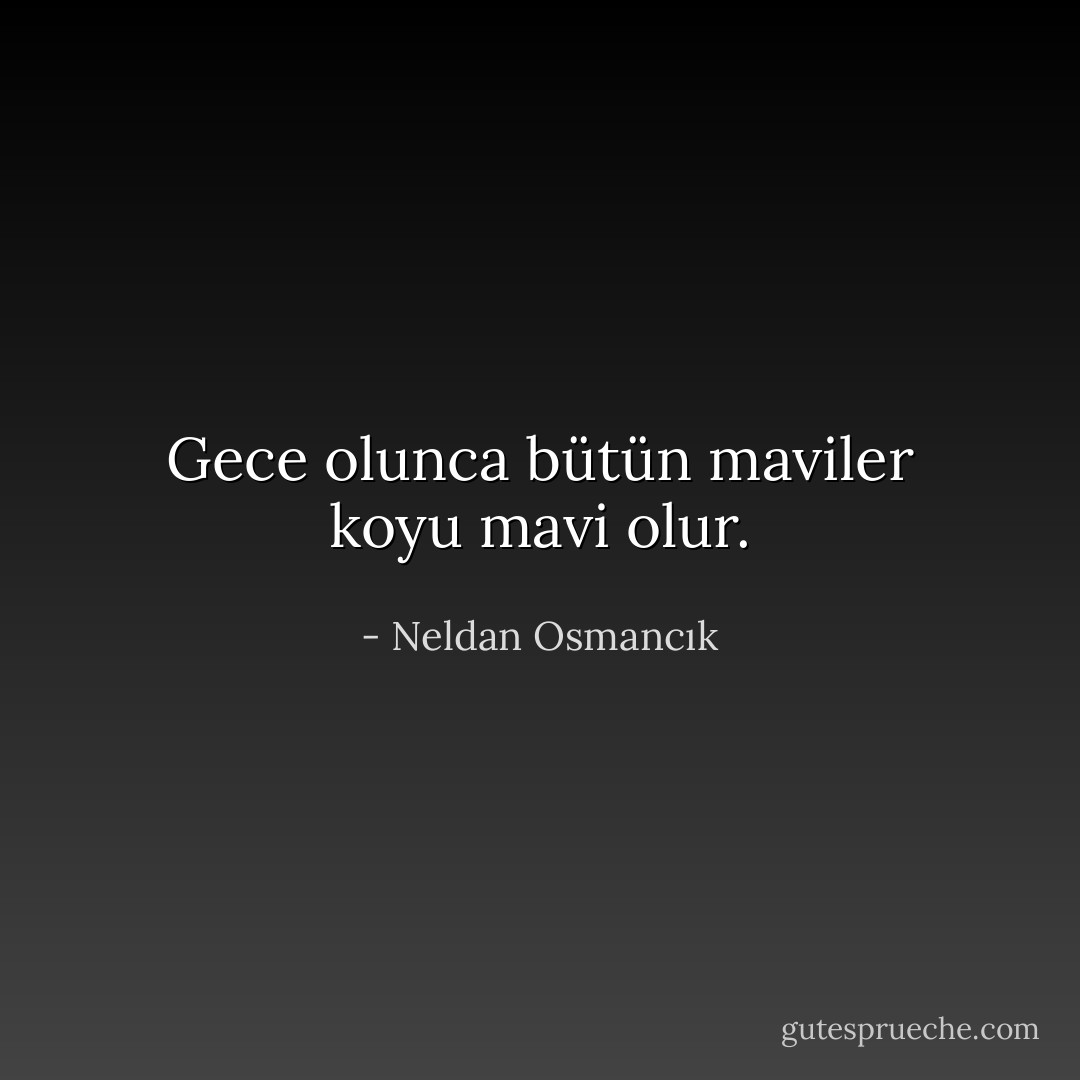 Gece olunca bütün maviler koyu mavi olur. - Neldan Osmancık