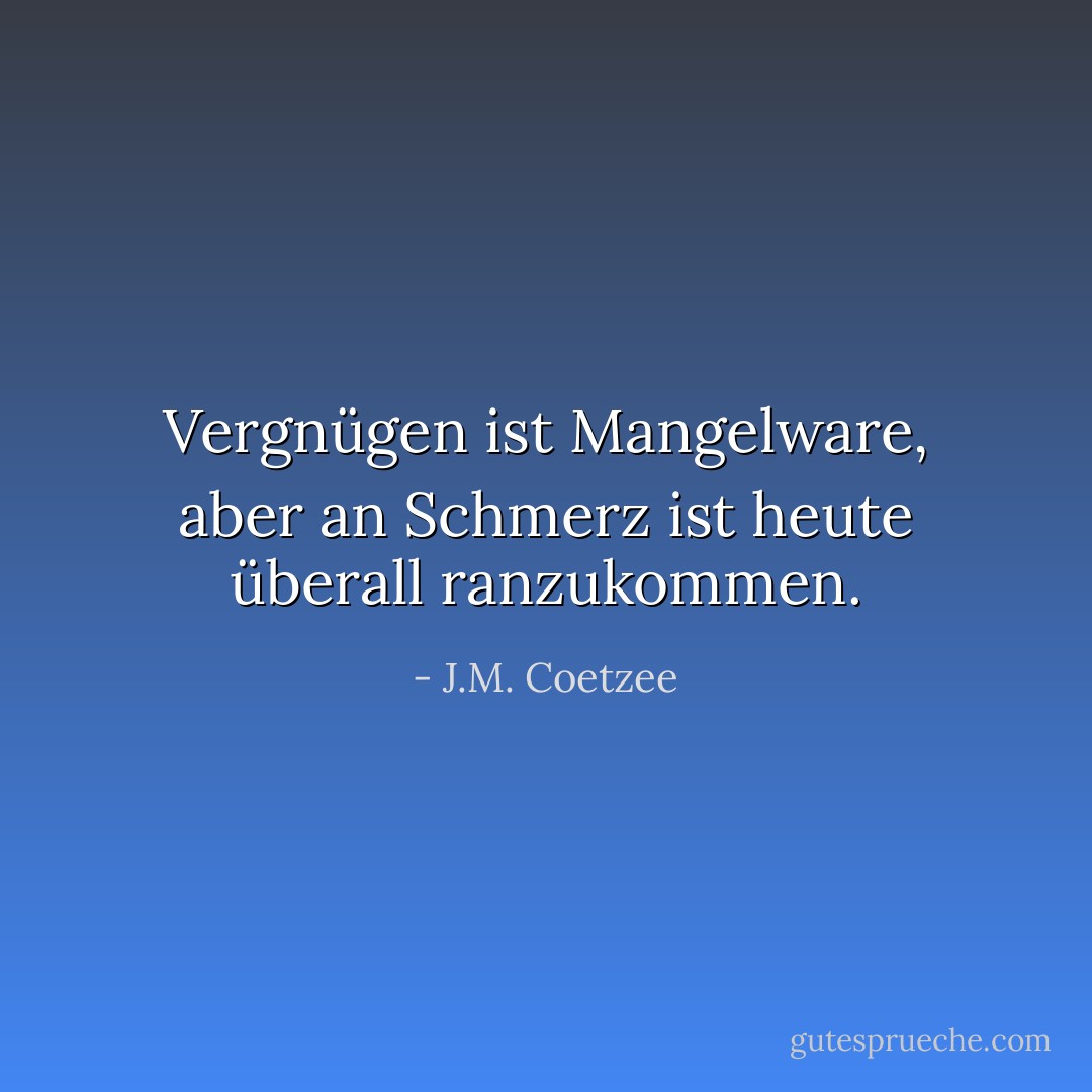 Vergnügen ist Mangelware, aber an Schmerz ist heute überall ranzukommen. - J.M. Coetzee