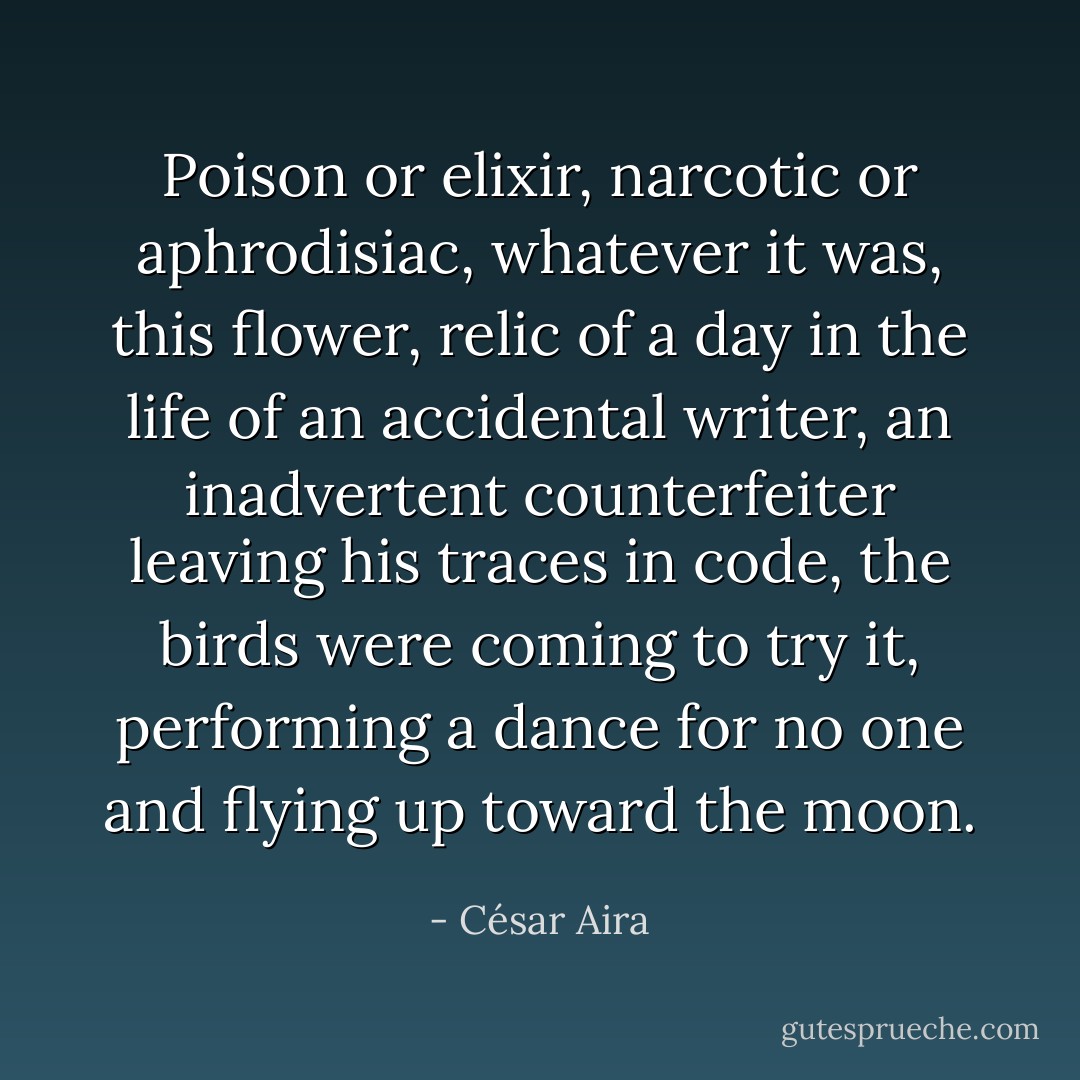 Poison or elixir, narcotic or aphrodisiac, whatever it was, this flower, relic of a day in the life of an accidental writer, an inadvertent counterfeiter leaving his traces in code, the birds were coming to try it, performing a dance for no one and flying up toward the moon. - César Aira