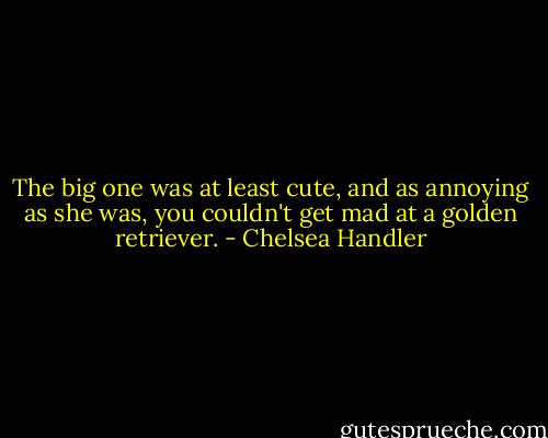 The big one was at least cute, and as annoying as she was, you couldn't get mad at a golden retriever. - Chelsea Handler