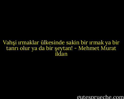 Vahşi ırmaklar ülkesinde sakin bir ırmak ya bir tanrı olur ya da bir şeytan! - Mehmet Murat ildan