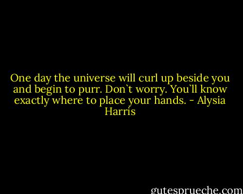 One day the universe will curl up beside you and begin to purr. Don`t worry. You`ll know exactly where to place your hands. - Alysia Harris