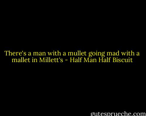 There's a man with a mullet going mad with a mallet in Millett's - Half Man Half Biscuit