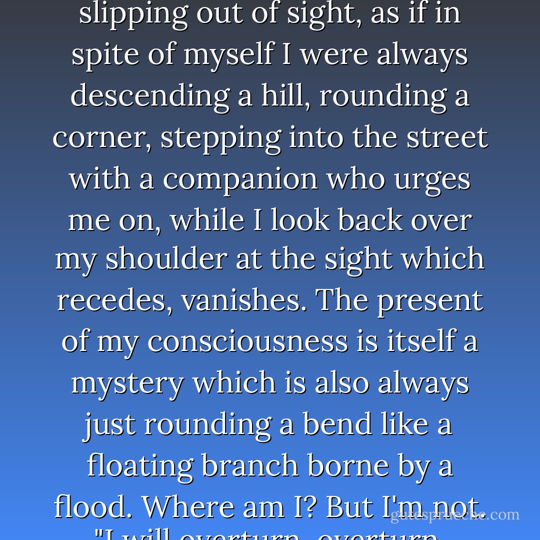 These aren't still shots; the camera is always moving. And the scene is always just slipping out of sight, as if in spite of myself I were always descending a hill, rounding a corner, stepping into the street with a companion who urges me on, while I look back over my shoulder at the sight which recedes, vanishes. The present of my consciousness is itself a mystery which is also always just rounding a bend like a floating branch borne by a flood. Where am I? But I'm not. "I will overturn, overturn, overturn, it: and it shall be no more. . . . - Annie Dillard