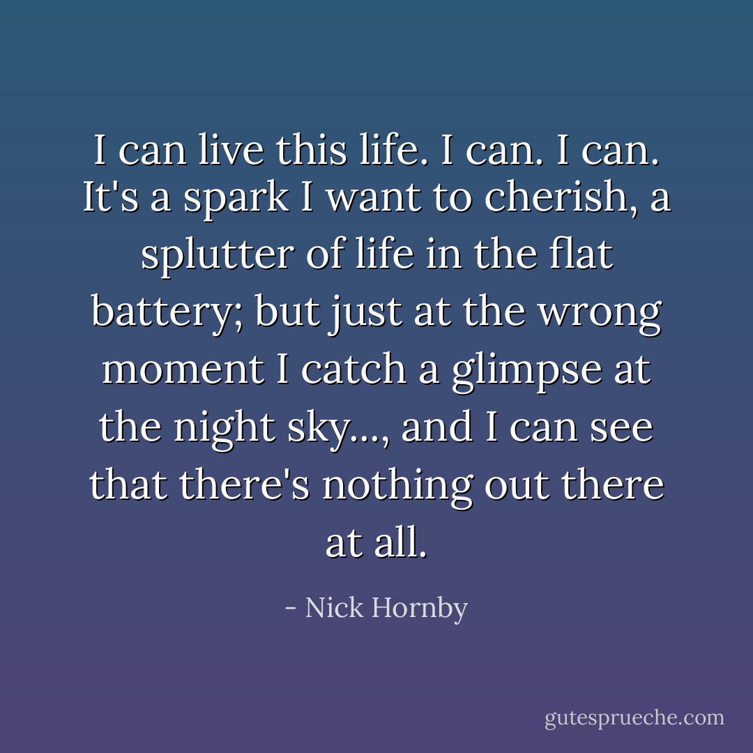 I can live this life. I can. I can. It's a spark I want to cherish, a splutter of life in the flat battery; but just at the wrong moment I catch a glimpse at the night sky..., and I can see that there's nothing out there at all. - Nick Hornby