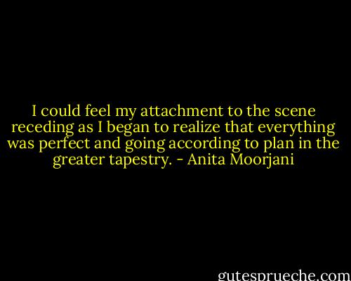 I could feel my attachment to the scene receding as I began to realize that everything was perfect and going according to plan in the greater tapestry. - Anita Moorjani