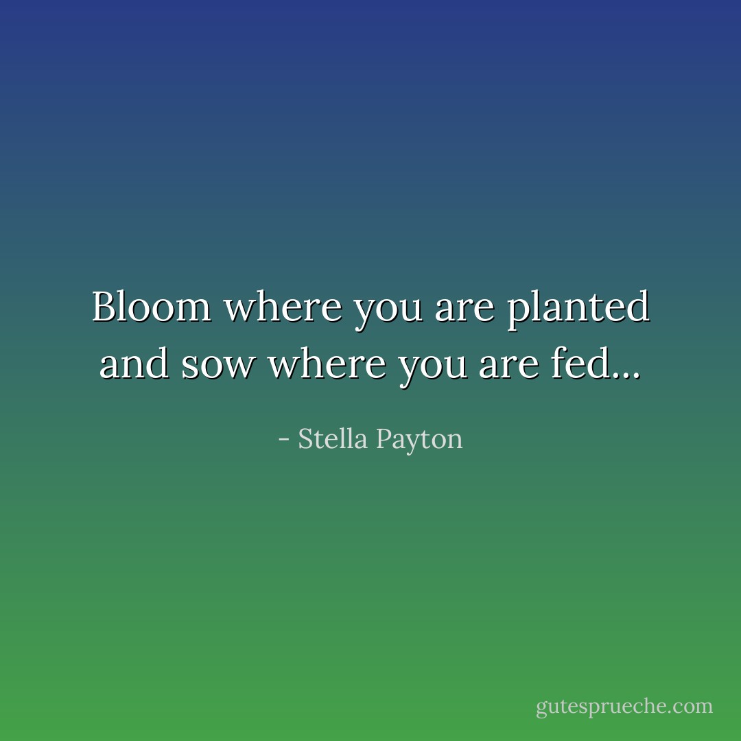 Bloom where you are planted and sow where you are fed... - Stella Payton