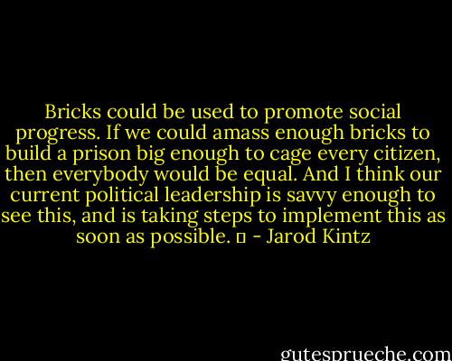 Bricks could be used to promote social progress. If we could amass enough bricks to build a prison big enough to cage every citizen, then everybody would be equal. And I think our current political leadership is savvy enough to see this, and is taking steps to implement this as soon as possible.   - Jarod Kintz