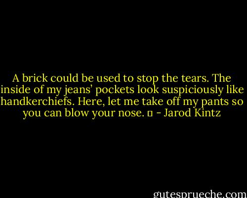 A brick could be used to stop the tears. The inside of my jeans’ pockets look suspiciously like handkerchiefs. Here, let me take off my pants so you can blow your nose.   - Jarod Kintz