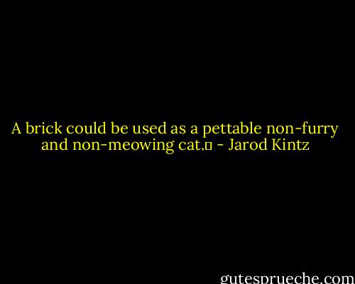 A brick could be used as a pettable non-furry and non-meowing cat.  - Jarod Kintz