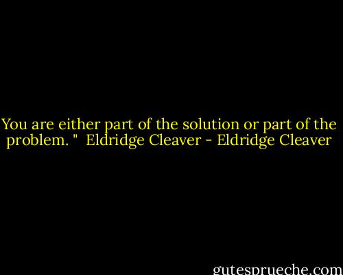 You are either part of the solution or part of the problem. "<br /> Eldridge Cleaver - Eldridge Cleaver