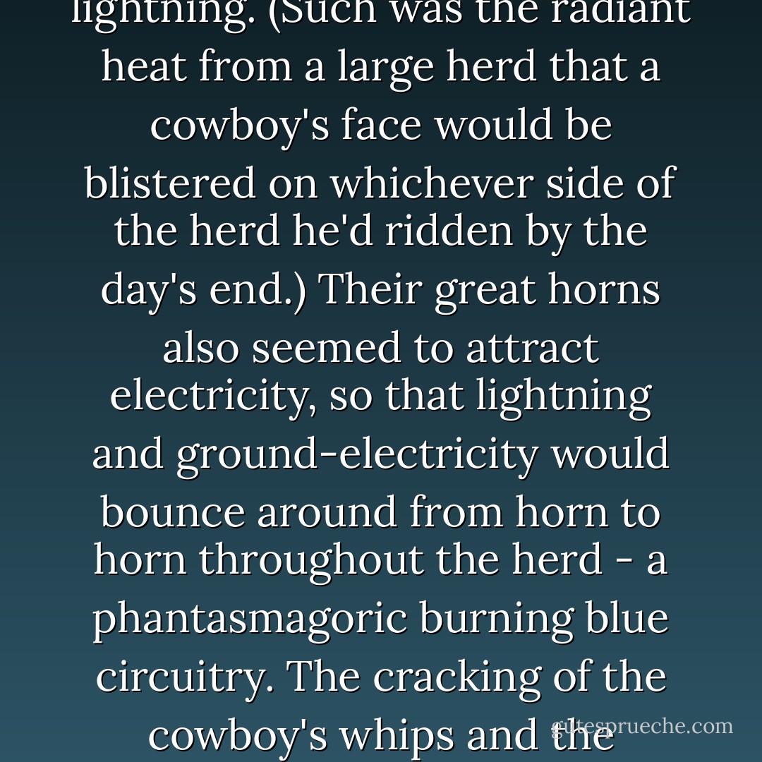 When the longhorns could be gathered up and driven, it was theorized that the heat from the herd's mass attracted lightning. (Such was the radiant heat from a large herd that a cowboy's face would be blistered on whichever side of the herd he'd ridden by the day's end.) Their great horns also seemed to attract electricity, so that lightning and ground-electricity would bounce around from horn to horn throughout the herd - a phantasmagoric burning blue circuitry. The cracking of the cowboy's whips and the twitching of the cattle's tails also emitted sparkling "snakes of fire. - Rick Bass