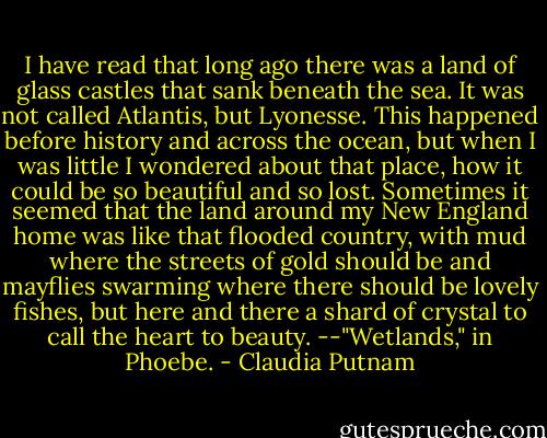 I have read that long ago there was a land of glass castles that sank beneath the sea. It was not called Atlantis, but Lyonesse. This happened before history and across the ocean, but when I was little I wondered about that place, how it could be so beautiful and so lost. Sometimes it seemed that the land around my New England home was like that flooded country, with mud where the streets of gold should be and mayflies swarming where there should be lovely fishes, but here and there a shard of crystal to call the heart to beauty. --"Wetlands," in Phoebe. - Claudia Putnam
