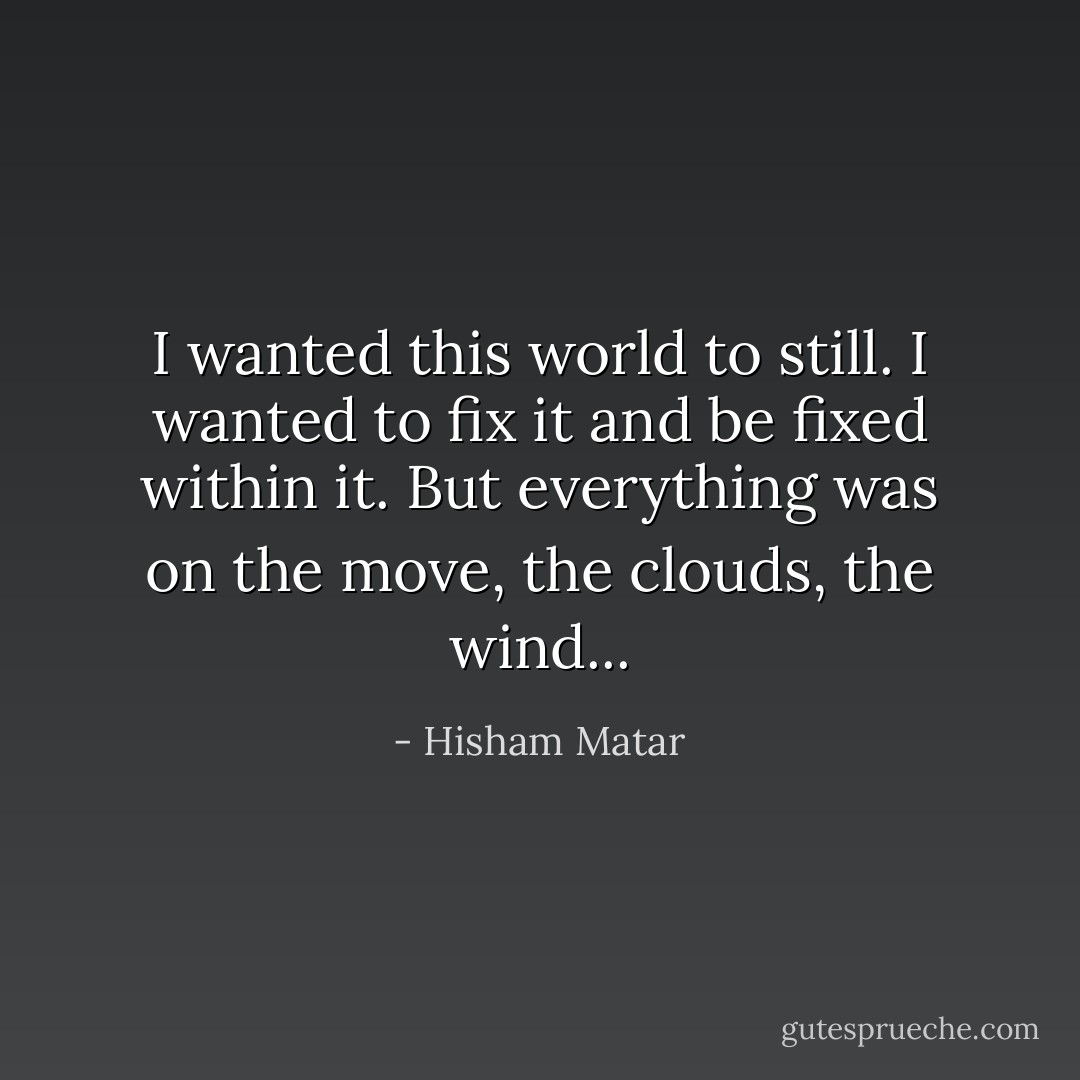 I wanted this world to still. I wanted to fix it and be fixed within it. But everything was on the move, the clouds, the wind... - Hisham Matar
