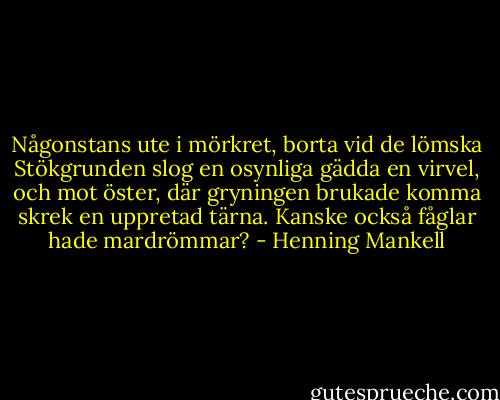 Någonstans ute i mörkret, borta vid de lömska Stökgrunden slog en osynliga gädda en virvel, och mot öster, där gryningen brukade komma skrek en uppretad tärna.<br />Kanske också fåglar hade mardrömmar? - Henning Mankell