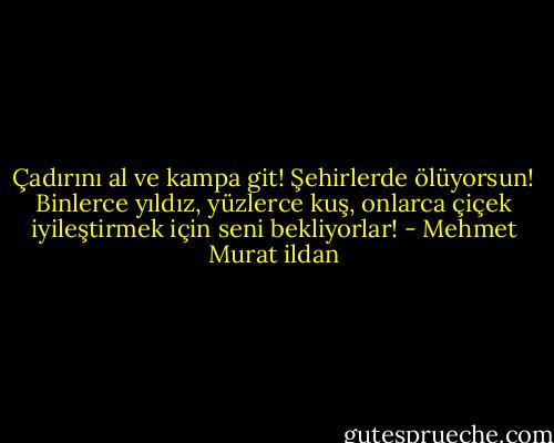 Çadırını al ve kampa git! Şehirlerde ölüyorsun! Binlerce yıldız, yüzlerce kuş, onlarca çiçek iyileştirmek için seni bekliyorlar! - Mehmet Murat ildan