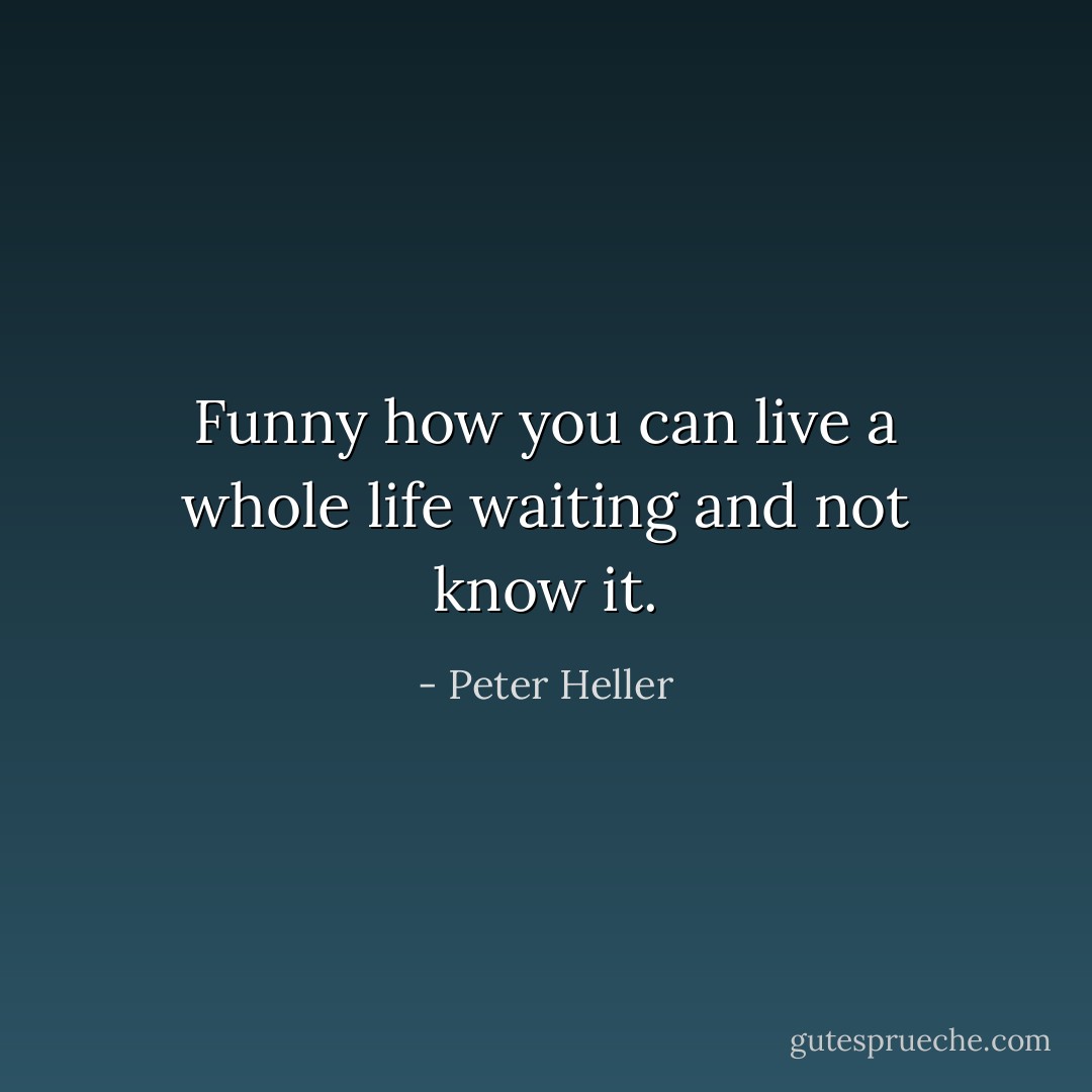 Funny how you can live a whole life waiting and not know it. - Peter Heller