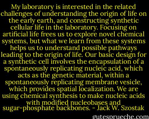 My laboratory is interested in the related challenges of understanding the origin of life on the early earth, and constructing synthetic cellular life in the laboratory. Focusing on artificial life frees us to explore novel chemical systems, but what we learn from these systems helps us to understand possible pathways leading to the origin of life. Our basic design for a synthetic cell involves the encapsulation of a spontaneously replicating nucleic acid, which acts as the genetic material, within a spontaneously replicating membrane vesicle, which provides spatial localization. We are using chemical synthesis to make nucleic acids with modified nucleobases and sugar-phosphate backbones. - Jack W. Szostak
