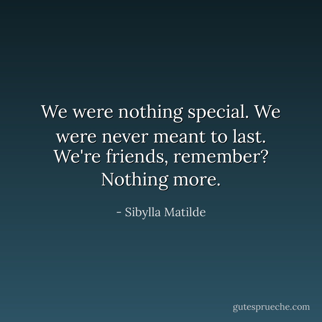 We were nothing special. We were never meant to last. We're friends, remember? Nothing more. - Sibylla Matilde