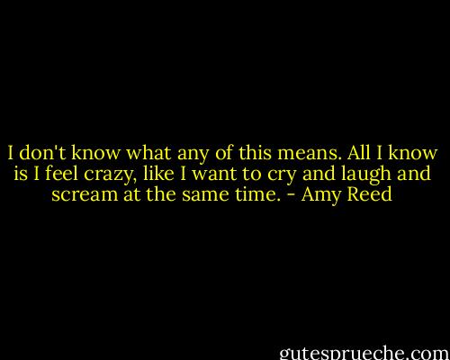 I don't know what any of this means. All I know is I feel crazy, like I want to cry and laugh and scream at the same time. - Amy Reed