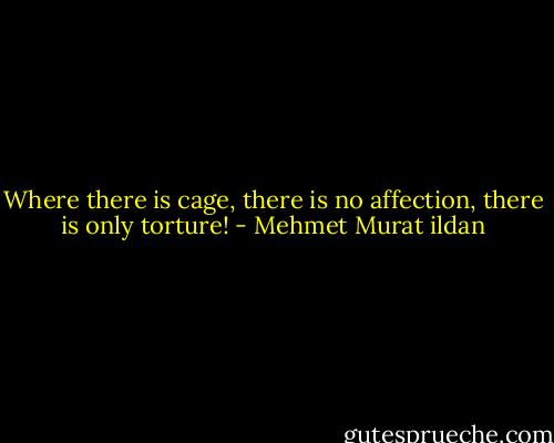 Where there is cage, there is no affection, there is only torture! - Mehmet Murat ildan