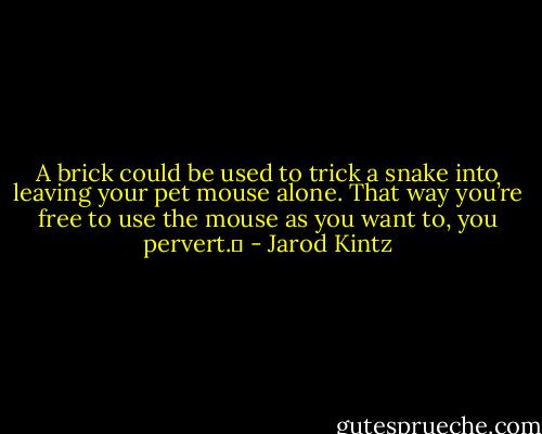 A brick could be used to trick a snake into leaving your pet mouse alone. That way you’re free to use the mouse as you want to, you pervert.  - Jarod Kintz