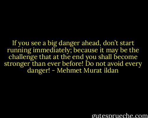If you see a big danger ahead, don’t start running immediately; because it may be the challenge that at the end you shall become stronger than ever before! Do not avoid every danger! - Mehmet Murat ildan