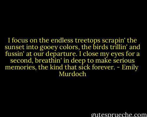 I focus on the endless treetops scrapin' the sunset into gooey colors, the birds trillin' and fussin' at our departure. I close my eyes for a second, breathin' in deep to make serious memories, the kind that sick forever. - Emily  Murdoch